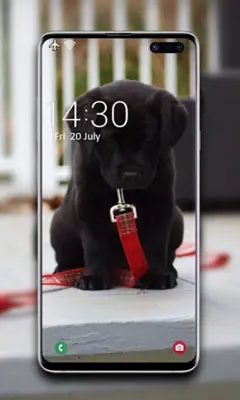 Puppy Wallpaper android App screenshot 0