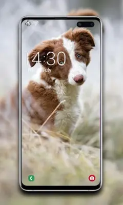 Puppy Wallpaper android App screenshot 2