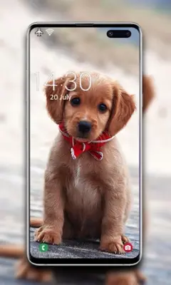 Puppy Wallpaper android App screenshot 3