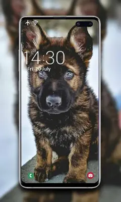 Puppy Wallpaper android App screenshot 4