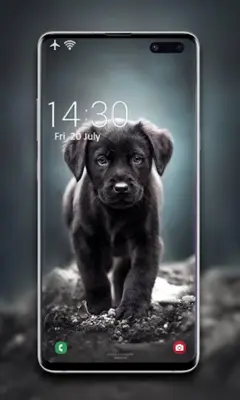 Puppy Wallpaper android App screenshot 6